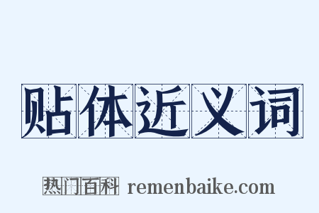 贴体近义词是什么意思的图片